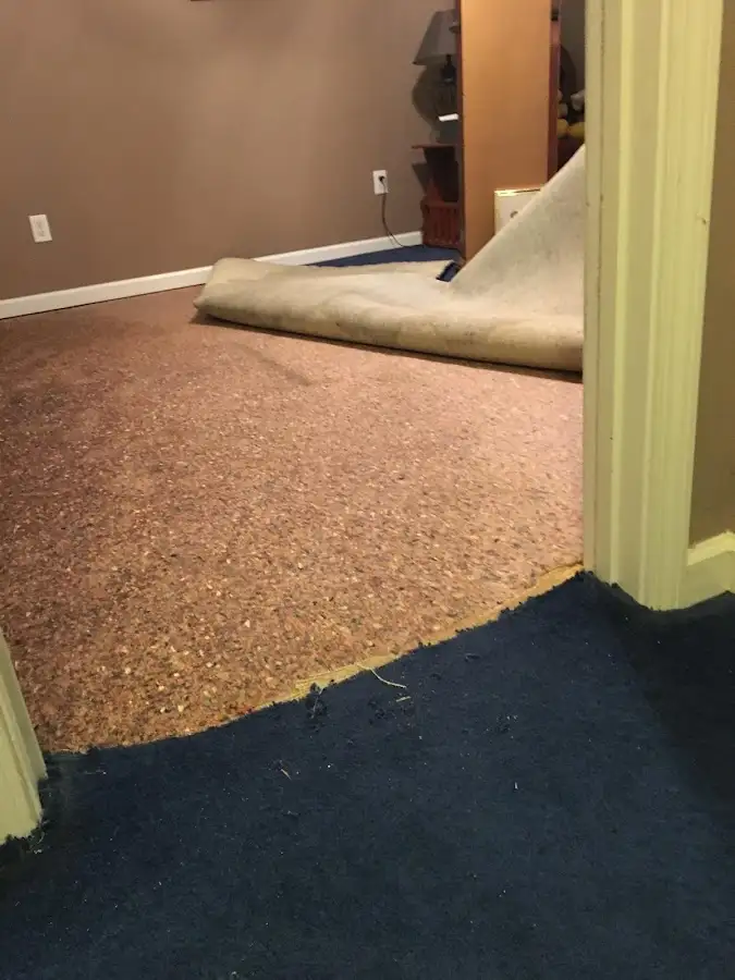 Carpet pad removal revealing water damage during Water Mitigation Services in Mundelein