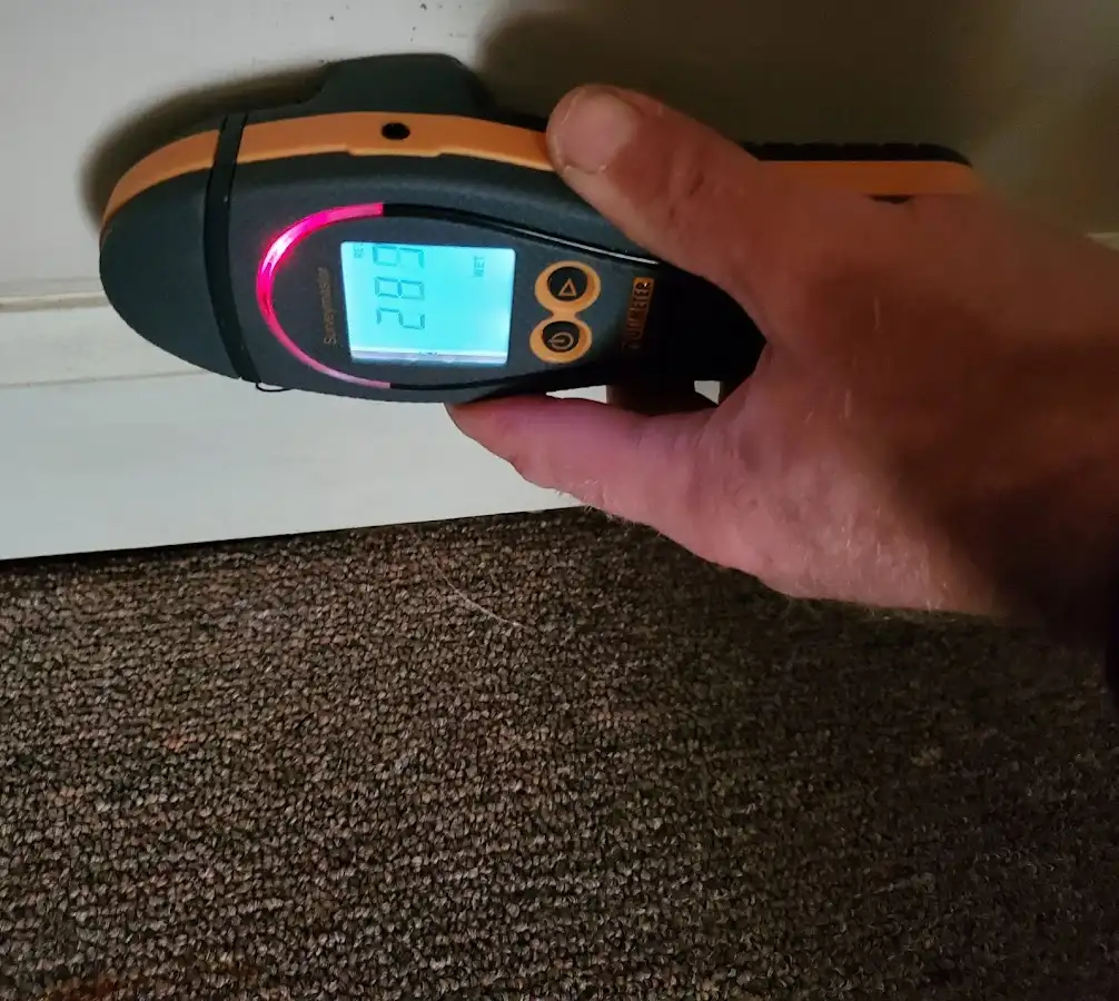 Moisture detection at baseboard during Sewage Cleanup & Sanitation in Mundelein